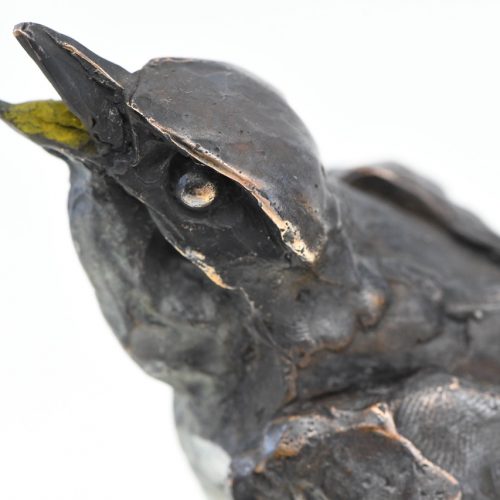 Alastair Barnes - Little Bird-2