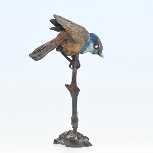 Alastair Barnes - Little Bird-3