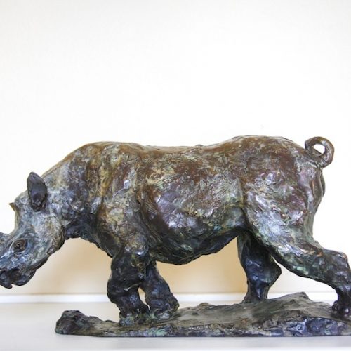 Alastair Barnes - Rhino